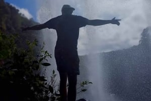 Randonnée d'une demi-journée aux 7 cascades de Tamarind Falls