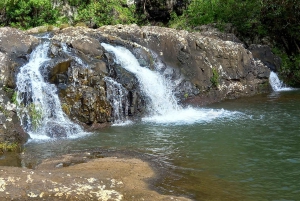 Randonnée d'une demi-journée aux 7 cascades de Tamarind Falls