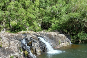 Randonnée d'une demi-journée aux 7 cascades de Tamarind Falls