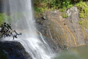 Randonnée d'une demi-journée aux 7 cascades de Tamarind Falls