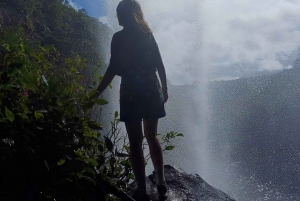 Randonnée d'une demi-journée aux 7 cascades de Tamarind Falls