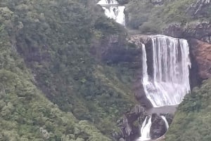 Randonnée d'une demi-journée aux 7 cascades de Tamarind Falls