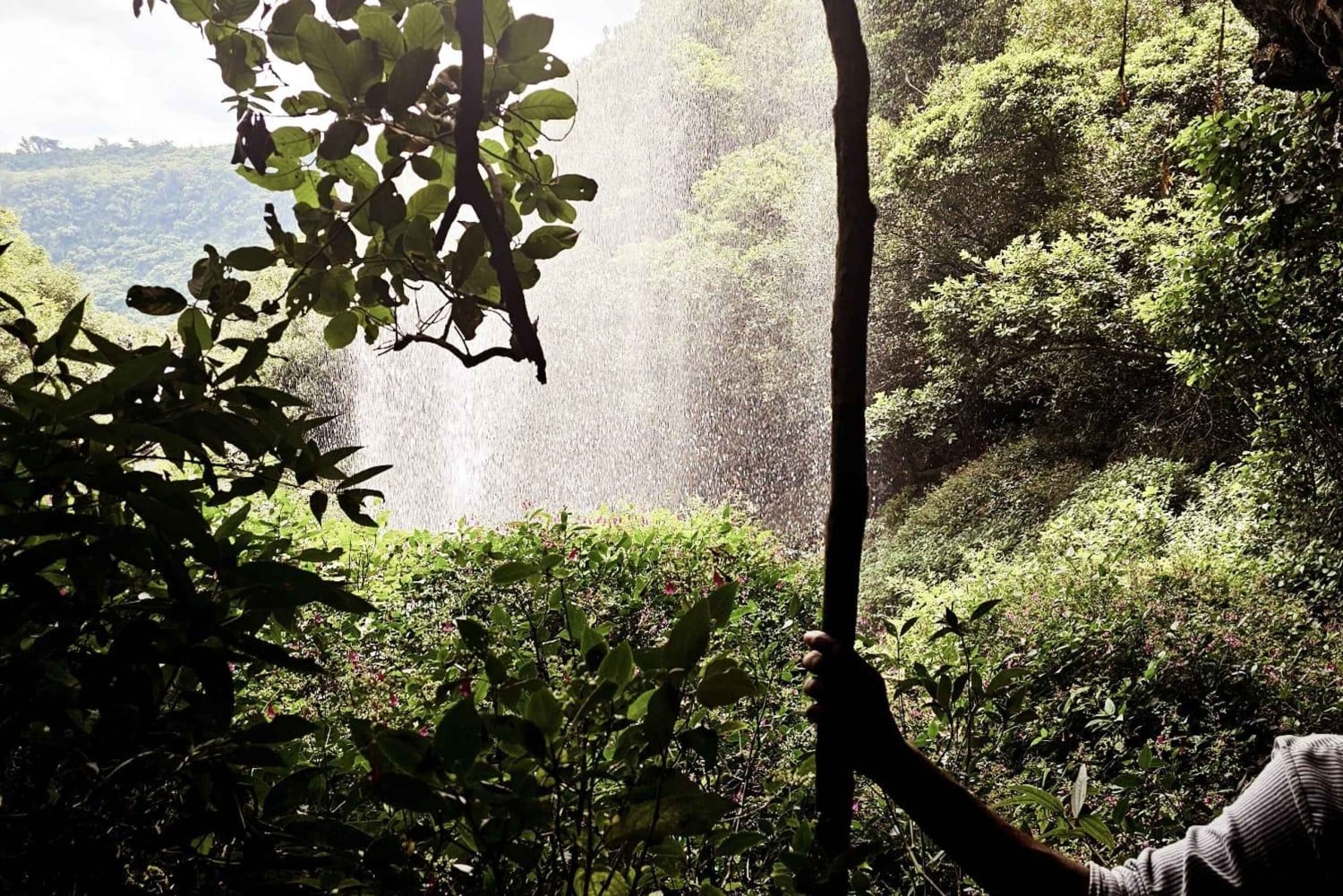 Tamarind Falls Afternoon Guided Hike with Swimming