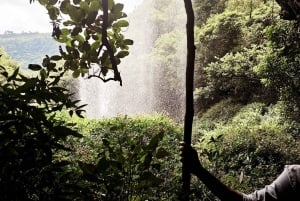 Tamarind Falls Afternoon Guided Hike with Swimming