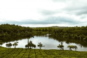Vulcão, lago, floresta, plantação de chá e almoço de 3 pratos