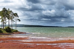 Vulcão, lago, floresta, plantação de chá e almoço de 3 pratos