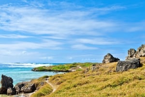 Vijf eilanden: eilandhoppen, snorkelen, barbecue, ophalen bij het hotel