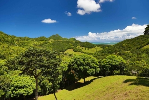 The Past of Mauritius - The East Tour