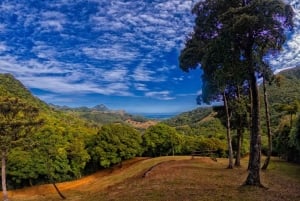 The Past of Mauritius - The East Tour