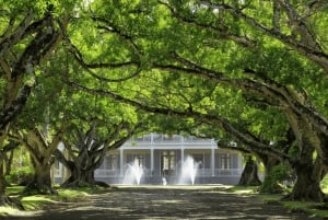La chapelle rouge, le jardin, l'histoire, le château et les meilleures nouilles du monde