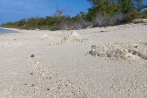 Grand Baie: prywatna wycieczka łodzią na trzy wyspy i grill na plaży
