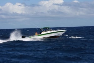 Grand Baie: prywatna wycieczka łodzią na trzy wyspy i grill na plaży