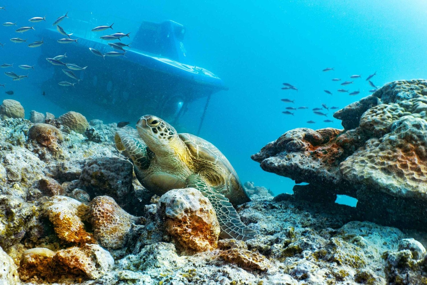 Triolet: inmersión en submarino con traslados al hotel