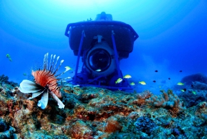 Triolet: Undervannstur med hotelltransport