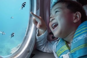 Trou-aux-Biches : Excursion sous-marine à l'épave de Star Hope