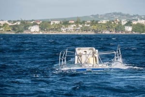 Trou-aux-Biches : Excursion sous-marine à l'épave de Star Hope
