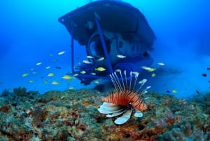 Trou-aux-Biches : Excursion sous-marine à l'épave de Star Hope