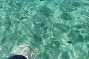 Trou D'Eau Douce : Circuit des 5 îles de l'île Maurice avec déjeuner/boissons