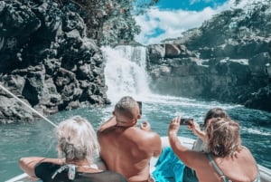 Mauritius: Ile aux Cerf katamaran med vattenfallsbesök och lunch