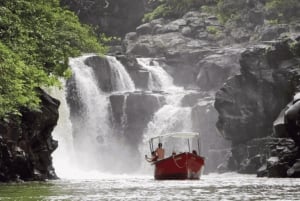 Mauritius: Ile aux Cerf katamaran med vattenfallsbesök och lunch