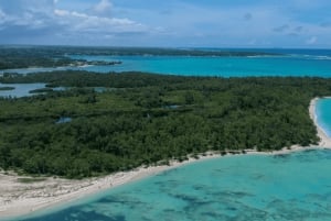 Mauritius: Ile aux Cerf katamaran med vattenfallsbesök och lunch