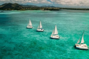 Ile Aux Cerfs: crociera in catamarano, isola, cascate, pranzo