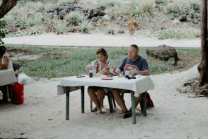 Trou d'Eau Douce: Speedboat Tour to Ile aux Cerfs with Lunch