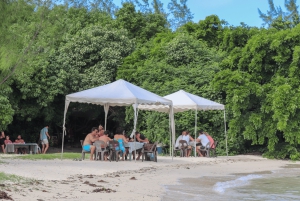 Trou d'Eau Douce: Speedboat Tour to Ile aux Cerfs with Lunch