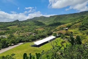 Kokeile Ultimate jännittävää polkupyörä-zip-lining aktiviteettia!