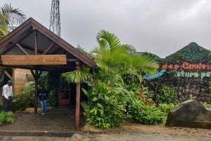 Kokeile Ultimate jännittävää polkupyörä-zip-lining aktiviteettia!