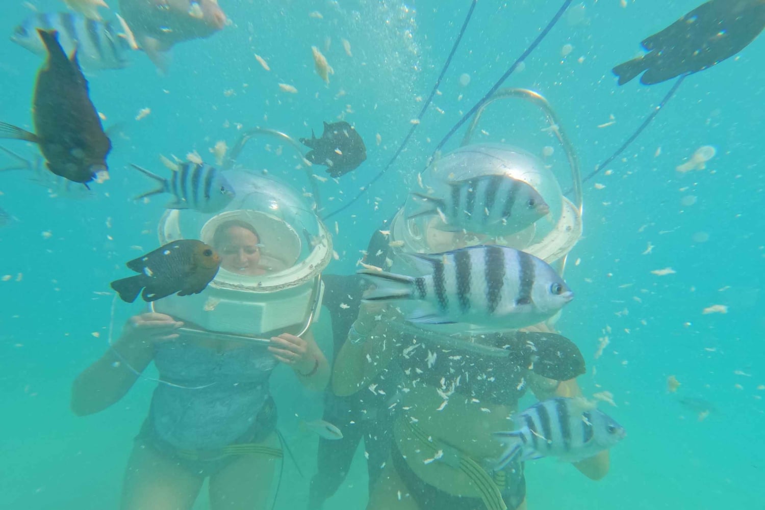 Passeggiata sottomarina e spiagge del nord con trasporto