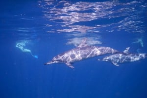Aventure inoubliable avec le bateau Havanah !