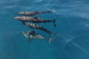 Aventure inoubliable avec le bateau Havanah !