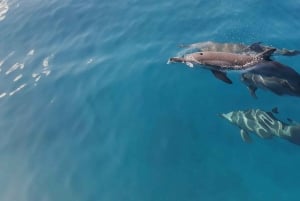 Aventure inoubliable avec le bateau Havanah !