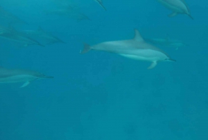 Aventure inoubliable avec le bateau Havanah !