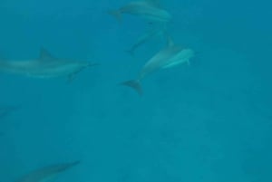 Aventure inoubliable avec le bateau Havanah !