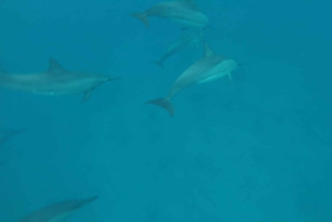 ¡Aventura inolvidable con Havanah Boat!