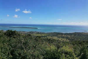 Unforgettable South Excursion Mauritius