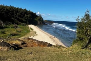 Unforgettable South Excursion Mauritius