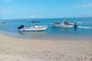 La Preneuse: Dolphin Watching and Snorkeling Speedboat Tour