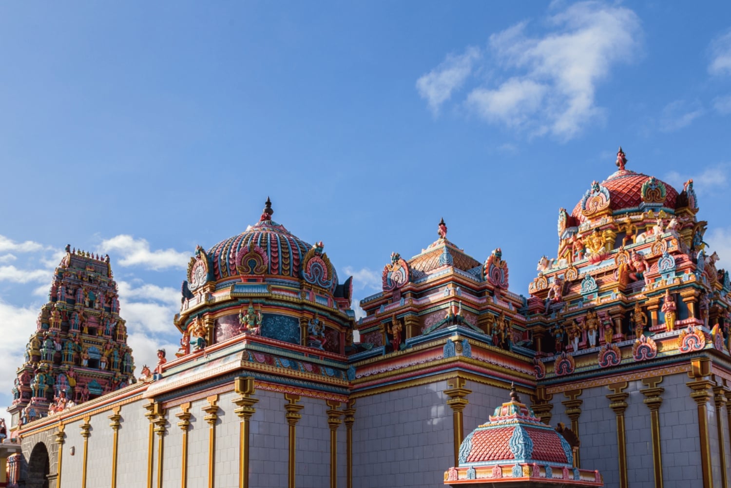 Unveiling the Ancient and Modern Port Louis - city tour