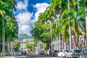 Unveiling the Ancient and Modern Port Louis - city tour
