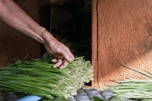 Det antika och moderna Port Louis - stadsrundtur
