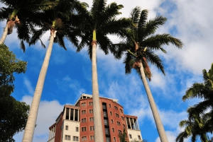 Det antika och moderna Port Louis - stadsrundtur
