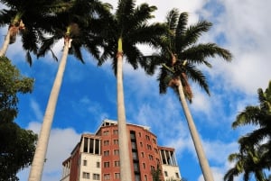 Unveiling the Ancient and Modern Port Louis - city tour