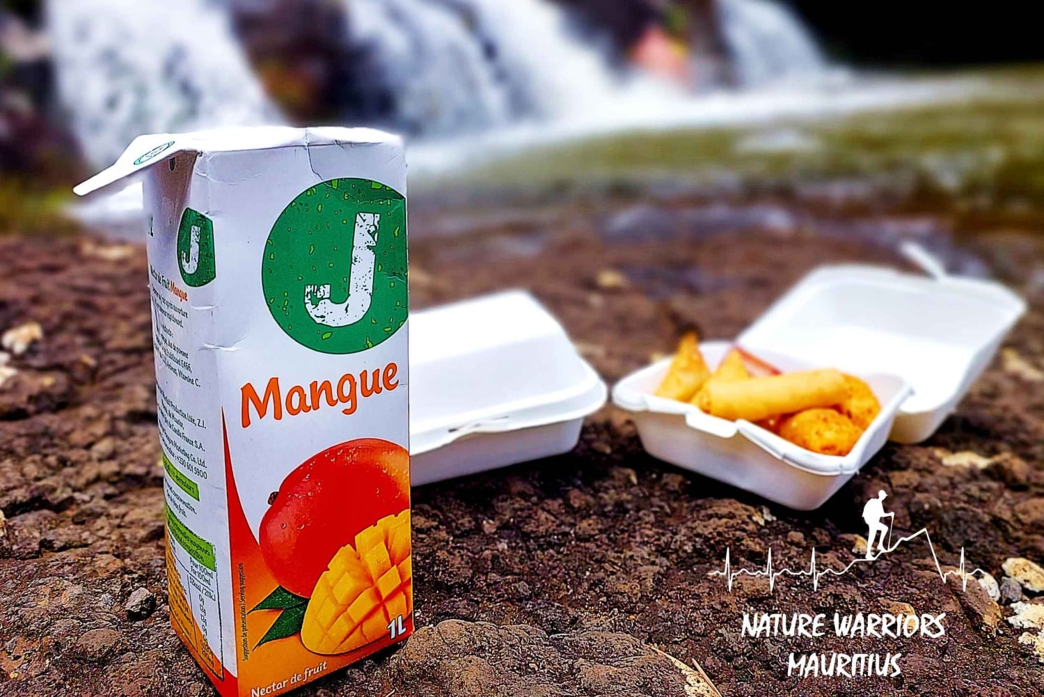 Vacoas-Phoenix: Private Hiking Tour to Tamarind Falls