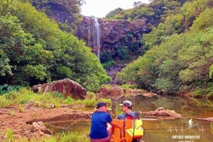 ヴァコア フェニックス：タマリンド フォールズへのプライベート ハイキング ツアー
