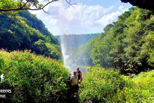 Vacoas-Phoenix: Private Hiking Tour to Tamarind Falls