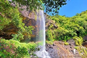 Vacoas-Phoenix: Private Hiking Tour to Tamarind Falls