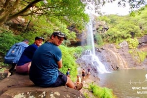 Vacoas-Phoenix: Private Hiking Tour to Tamarind Falls